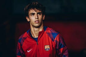 埼玉西武狮宣布签下201公分右投 Trey Wingenter